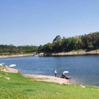 单纯豆花zzy头像