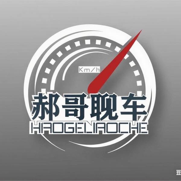 郝哥聊车头像