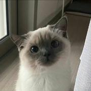 x杰尼的个人资料头像