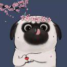 古月轩的个人资料头像