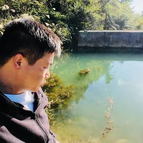 鹏大锤头像