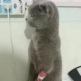 用户9454841934087头像