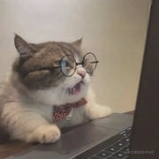 toolMan的个人资料头像