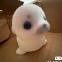 桂圆肉肉肉肉肉头像