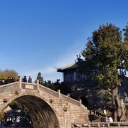 闲事管理局罗局的个人资料头像