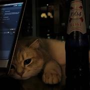 maple616的个人资料头像