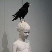 fffzlfk的个人资料头像