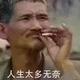随风183556900头像