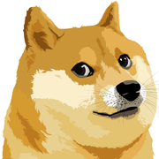 网友小梁的个人资料头像