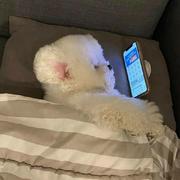 喝水的个人资料头像