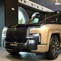 仰望大鼎子头像