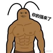 搬砖阿强的个人资料头像