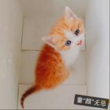 江禾24头像