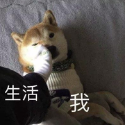 想赢就别怕输的个人资料头像