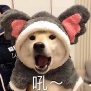 用户6427489148355的个人资料头像