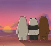 攒豆仔鸭的个人资料头像