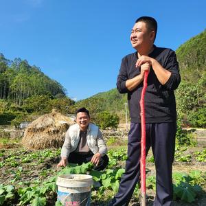 黄巢山红旗头像