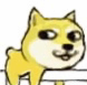 zl0891的个人资料头像