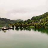 淡泊的海燕w9头像