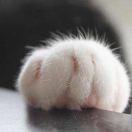 Riemann的个人资料头像