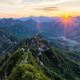 林志506头像