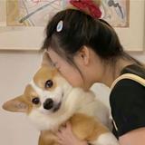 橙子46607头像