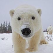 qwer299的个人资料头像