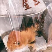 仙仙138的个人资料头像