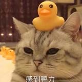 神罗天征8888头像