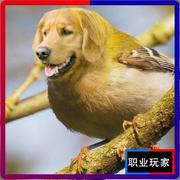 用户9589541467995的个人资料头像