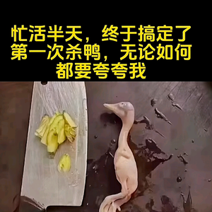 优秀O1O头像