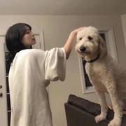 QinYanan的个人资料头像