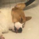 浦原氏的个人资料头像