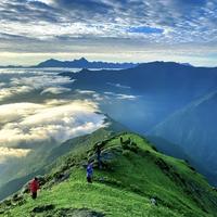 微雨独行客头像
