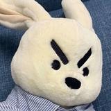 一起吹晚风256头像