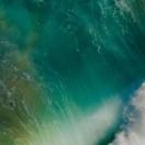 carl_Ysz的个人资料头像