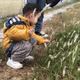 随性自由的饼干ssd头像