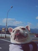 小布弟弟的个人资料头像