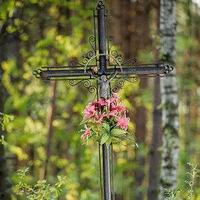 星星之火15775头像