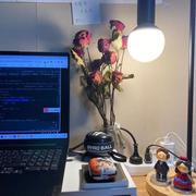 减_简的个人资料头像