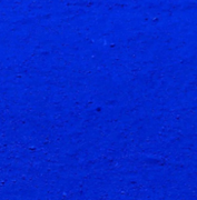 Neweee的个人资料头像