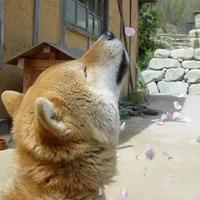 旅行的意义ck头像