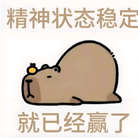 青橙不能吃Orange头像