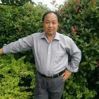 直率熊猫kC8头像