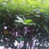 用户6034655880662头像
