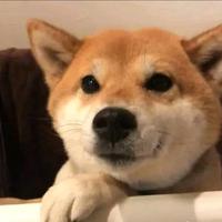 用户2211216713756头像