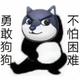 大狗是真的狗头像
