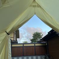 无双奶酪TIk头像