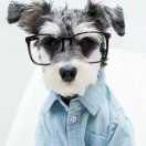 同志55390的个人资料头像