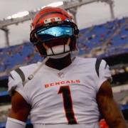 Lnchy的个人资料头像